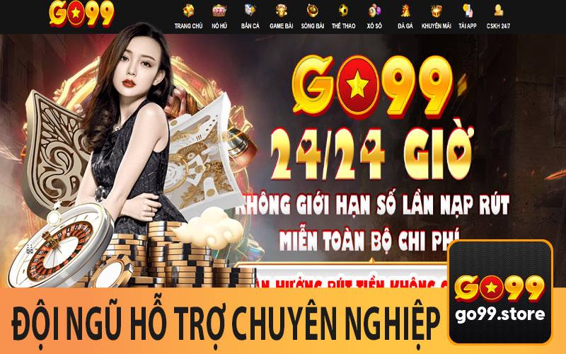 Đội Ngũ Hỗ Trợ Chuyên Nghiệp